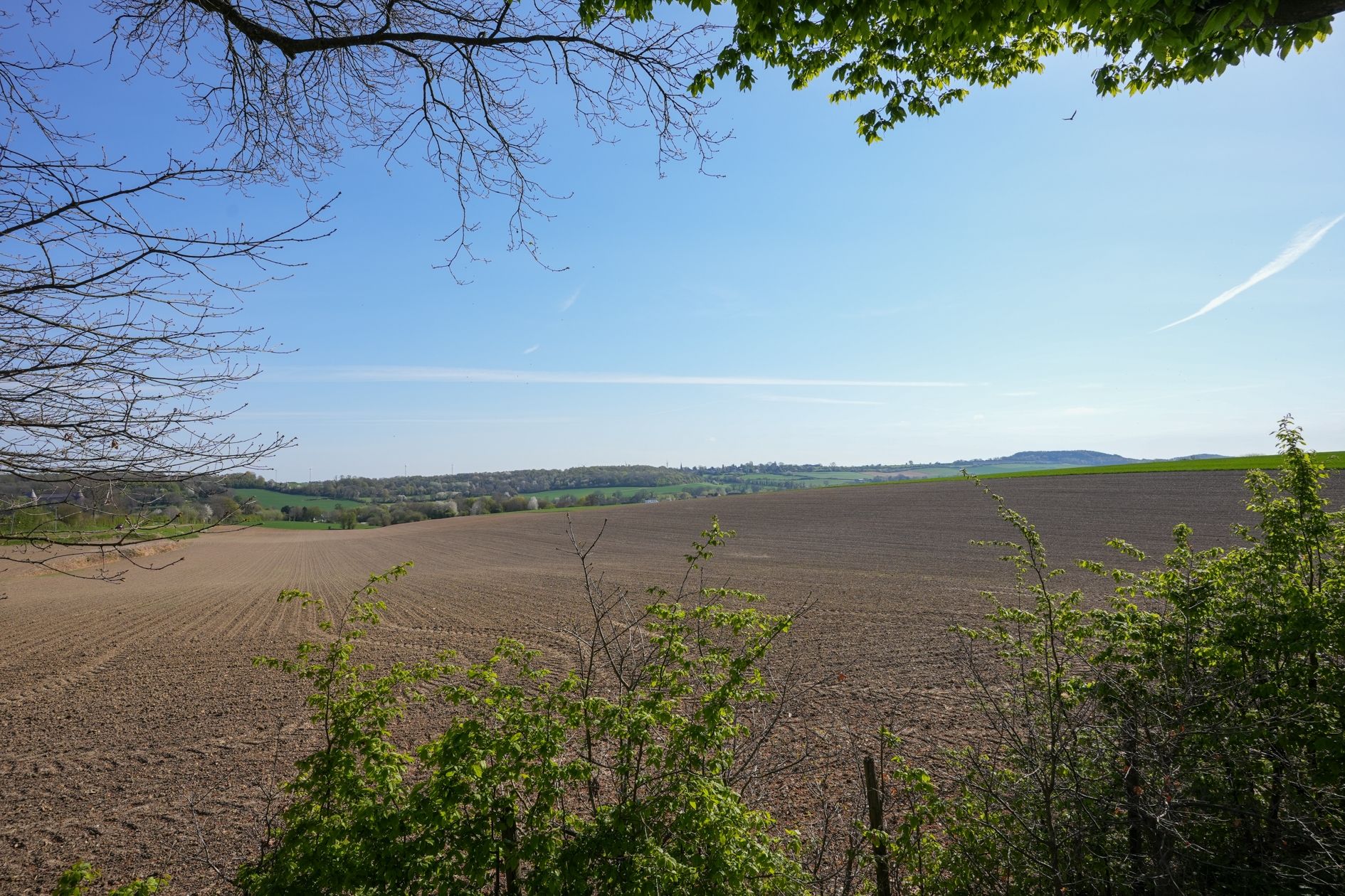 Foto 21 van van Renessestraat 19