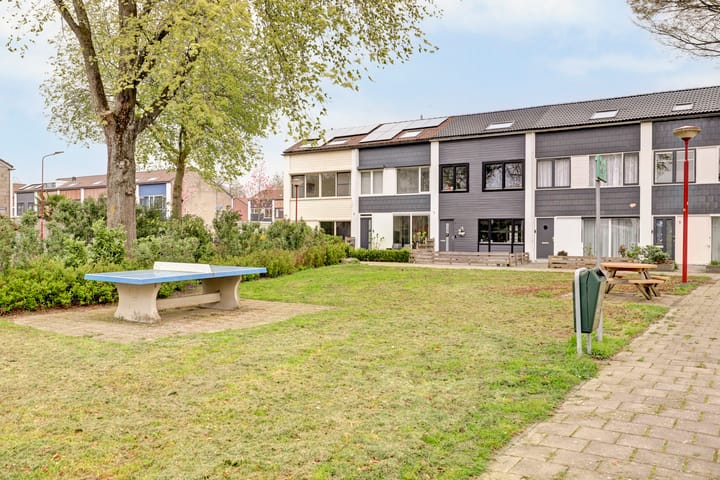 Foto 3 van Disselsjeesdrift 2