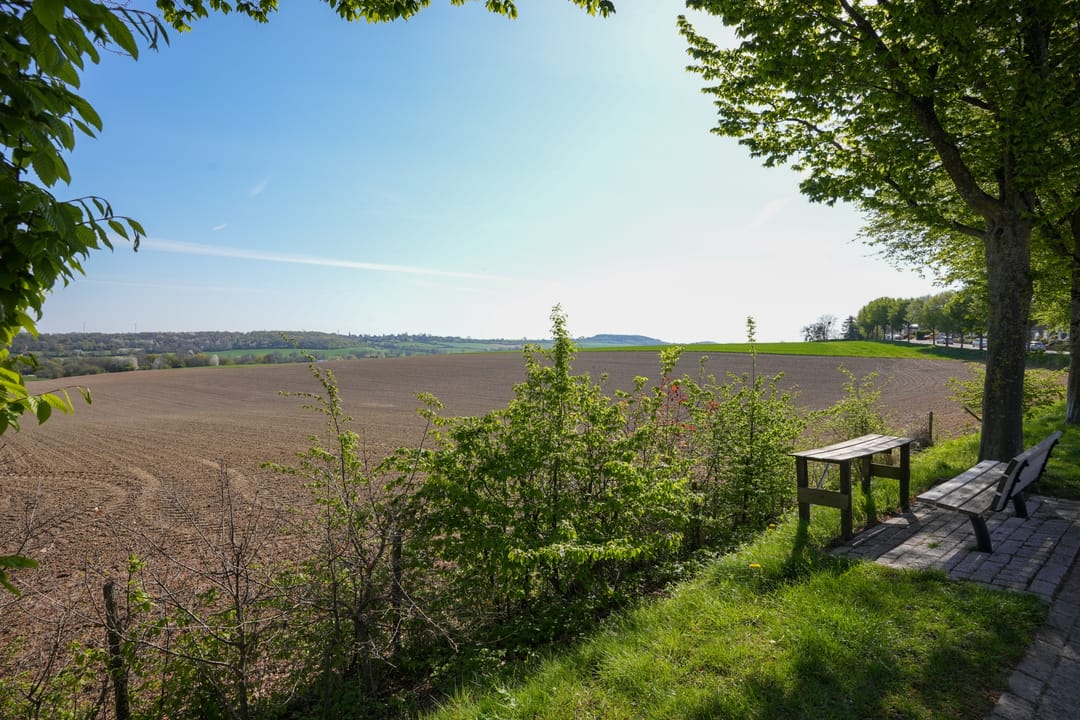 Foto 22 van van Renessestraat 19