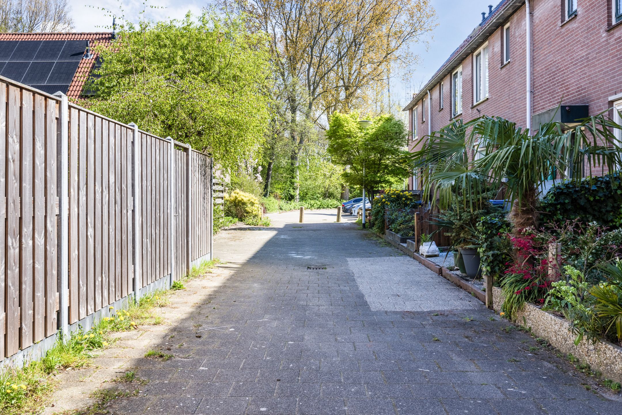 Foto 27 van Boegbeeld 2