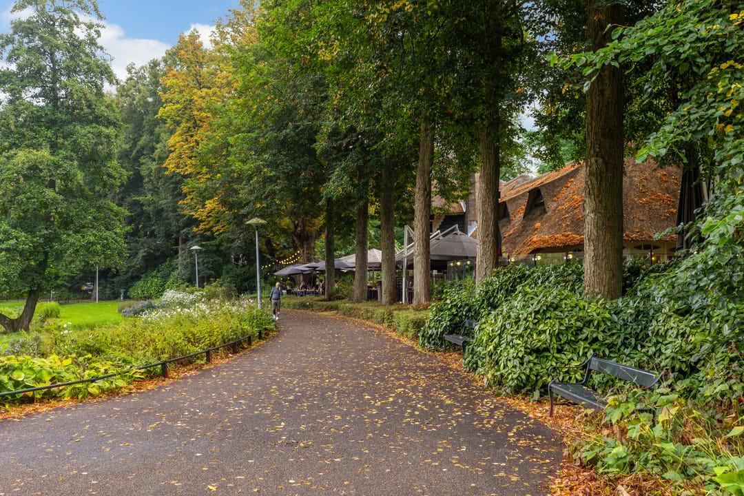 Photo 31 of Ferdinand Bolstraat 49