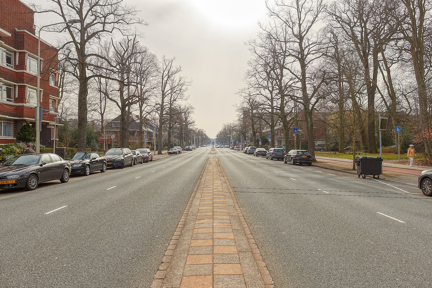 Photo 40 of Van Alkemadelaan 181