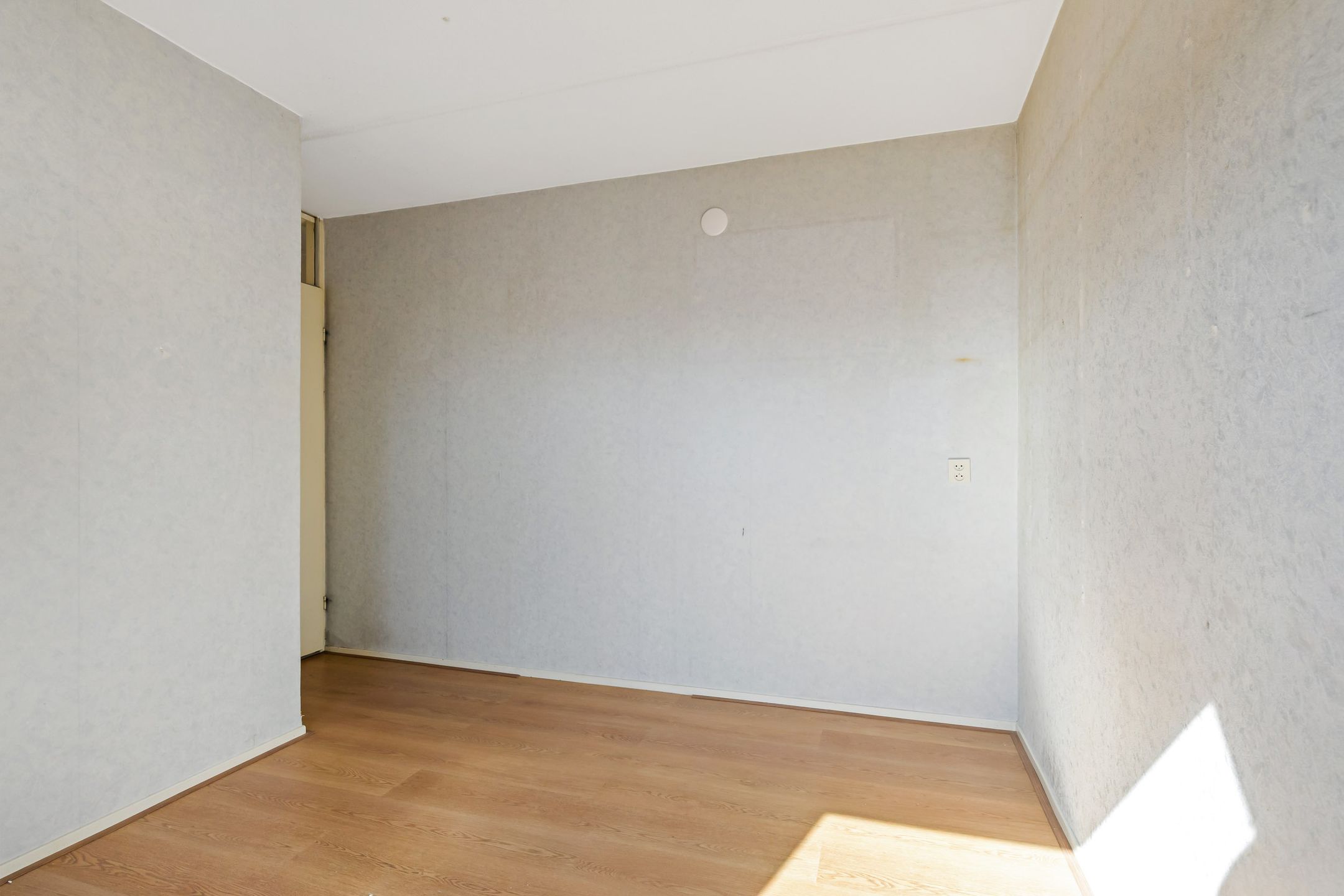 Photo 30 of De Him 8