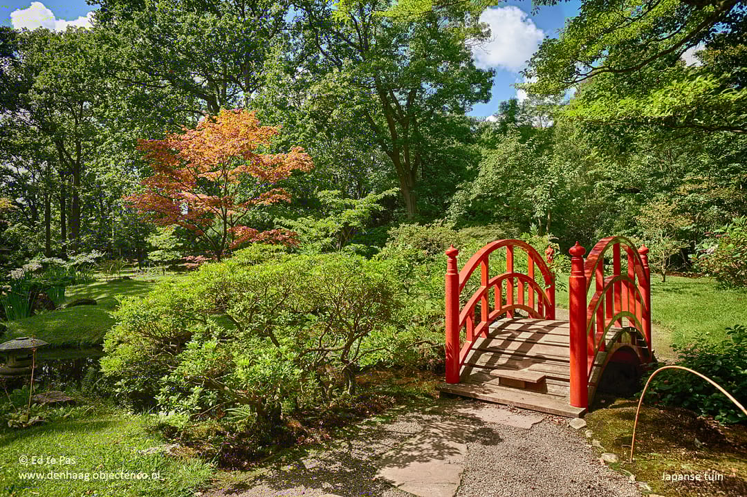 Photo 41 of Van Alkemadelaan 181