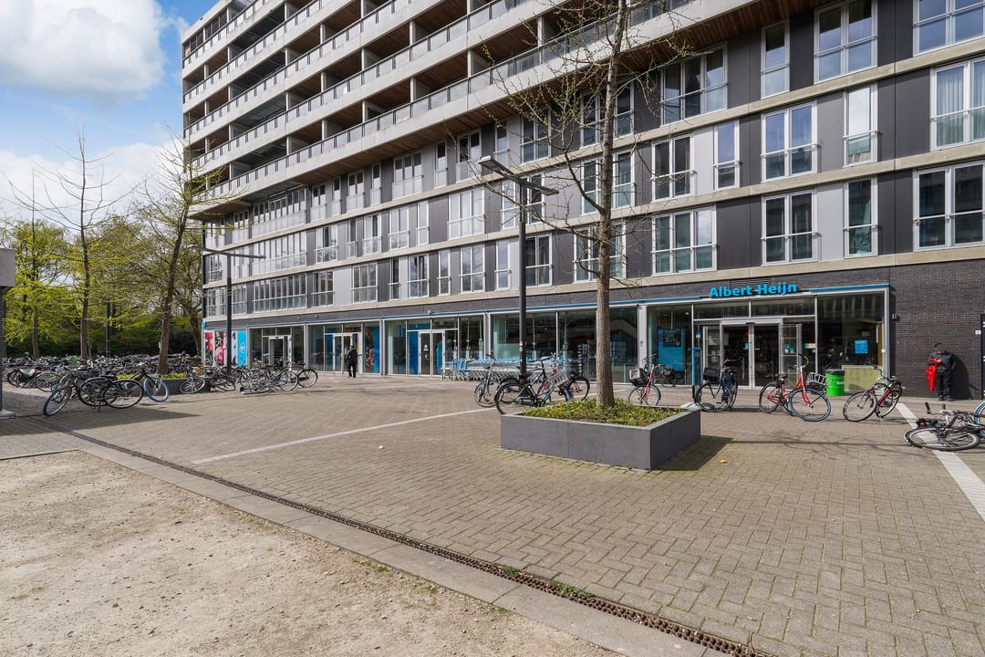 Foto 38 van Professor de Moorplein 460