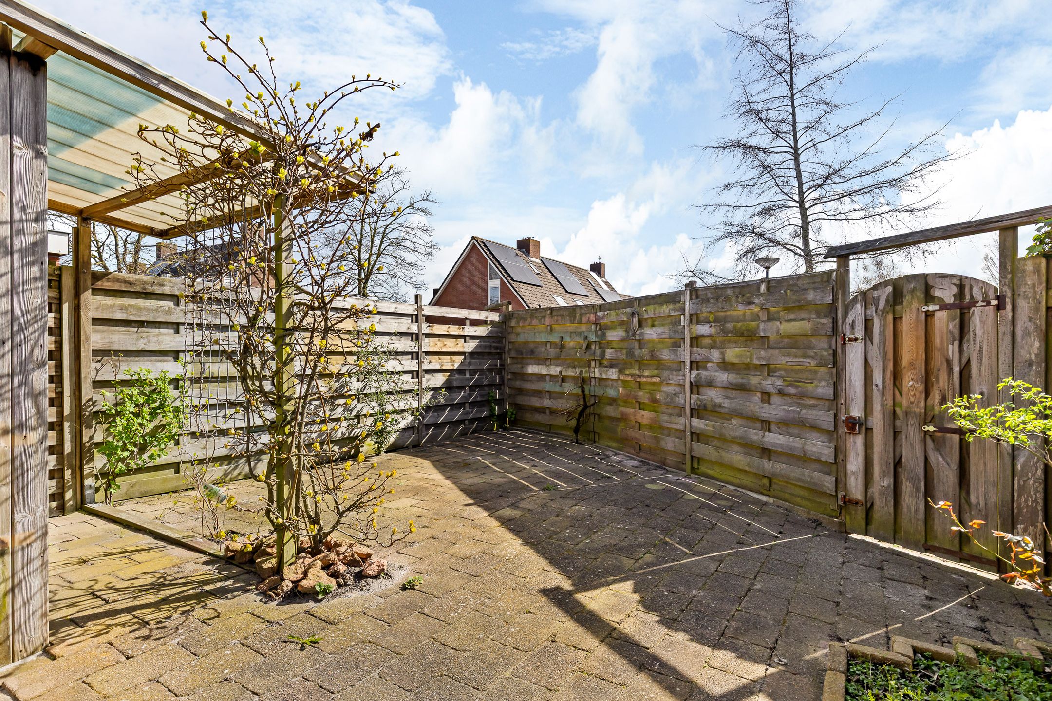 Photo 18 of De Him 8