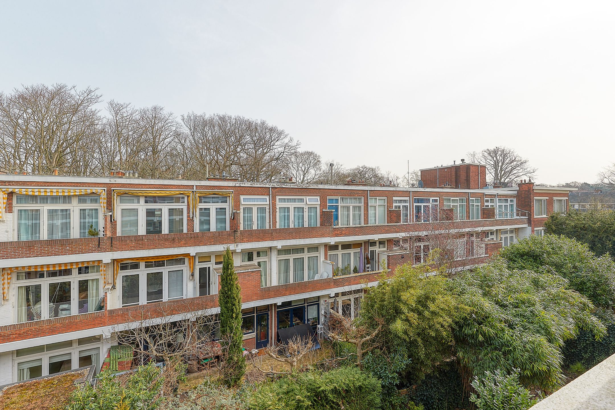 Photo 27 of Van Alkemadelaan 181