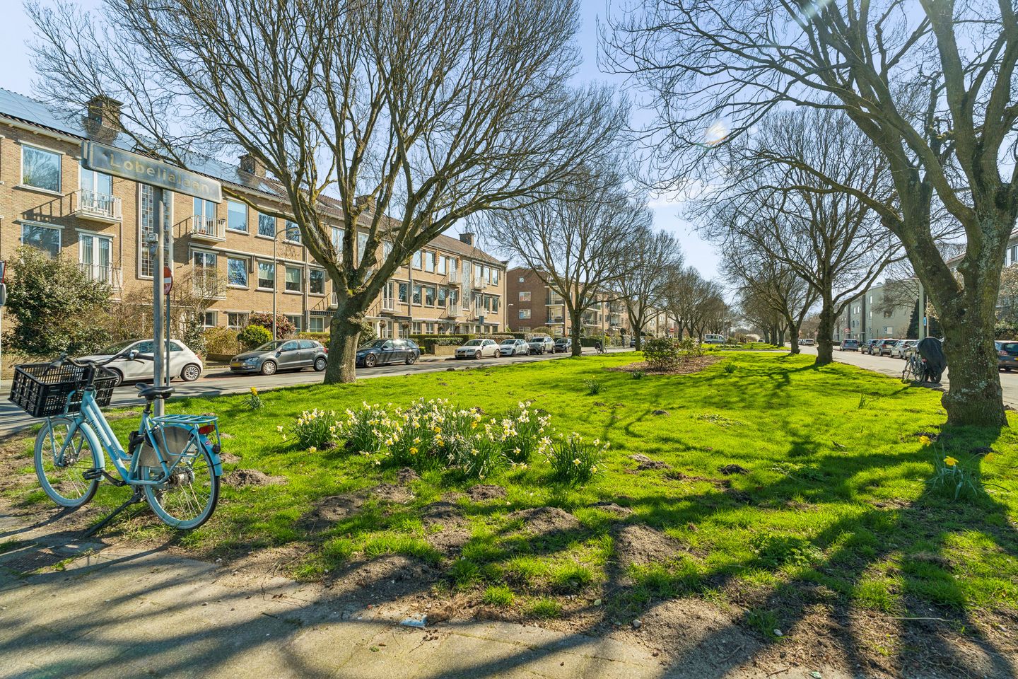 Photo 65 of Balsemienlaan 230