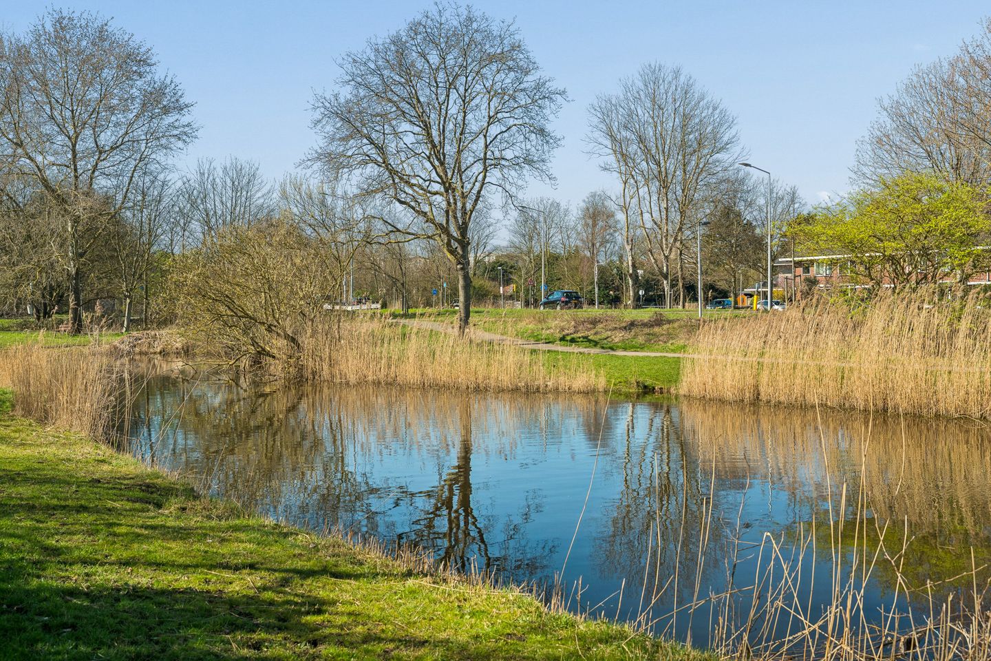 Photo 64 of Balsemienlaan 230