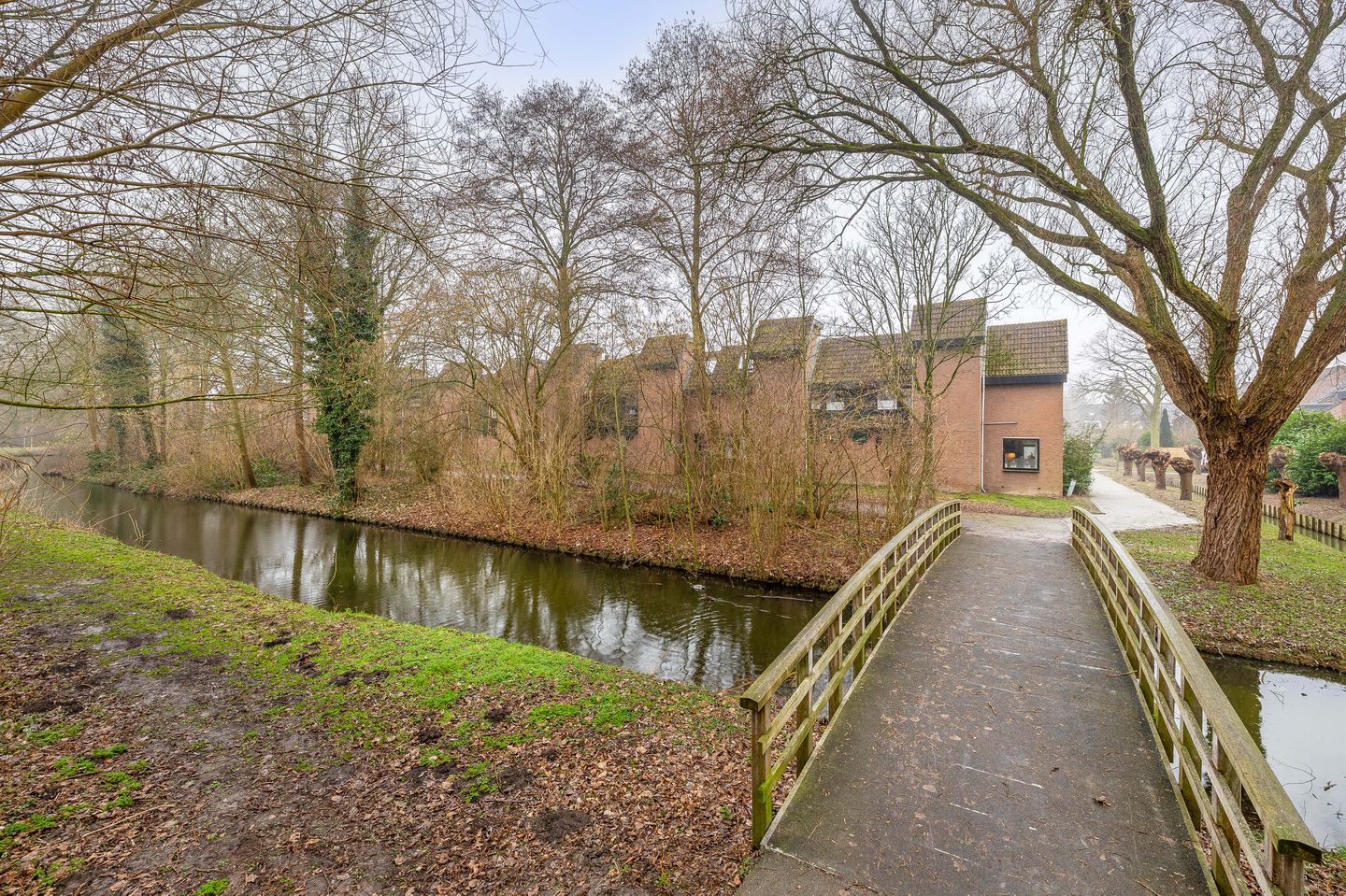 Foto 5 van Tureluur 32