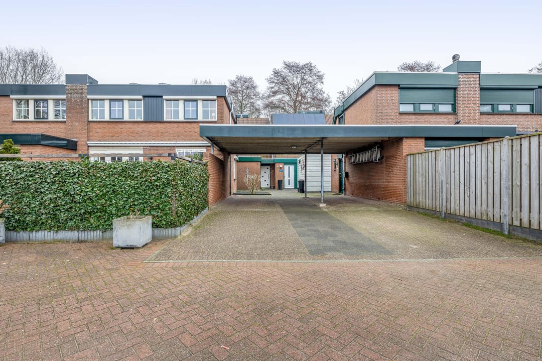 Foto 7 van Tureluur 32