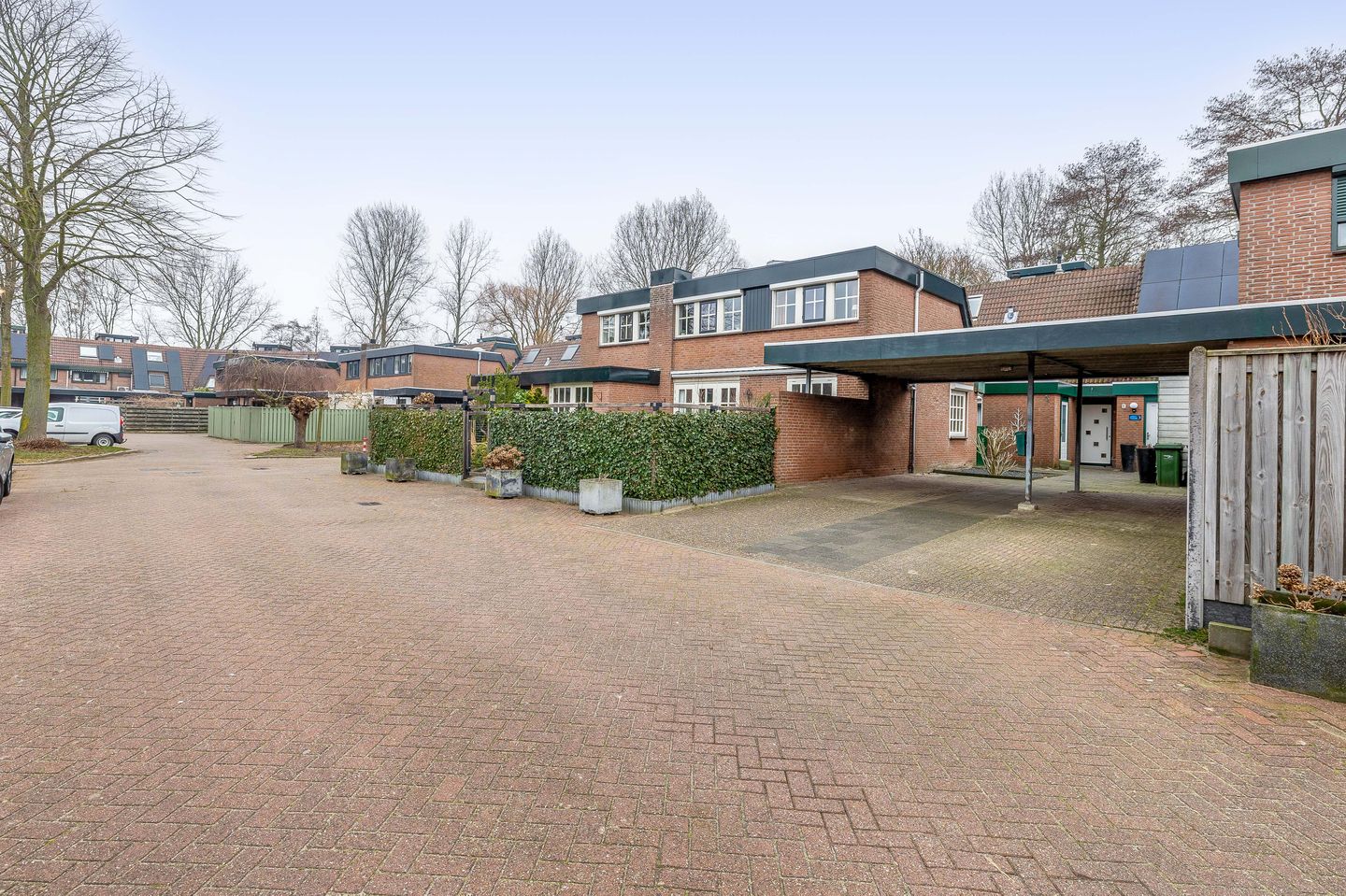 Foto 10 van Tureluur 32