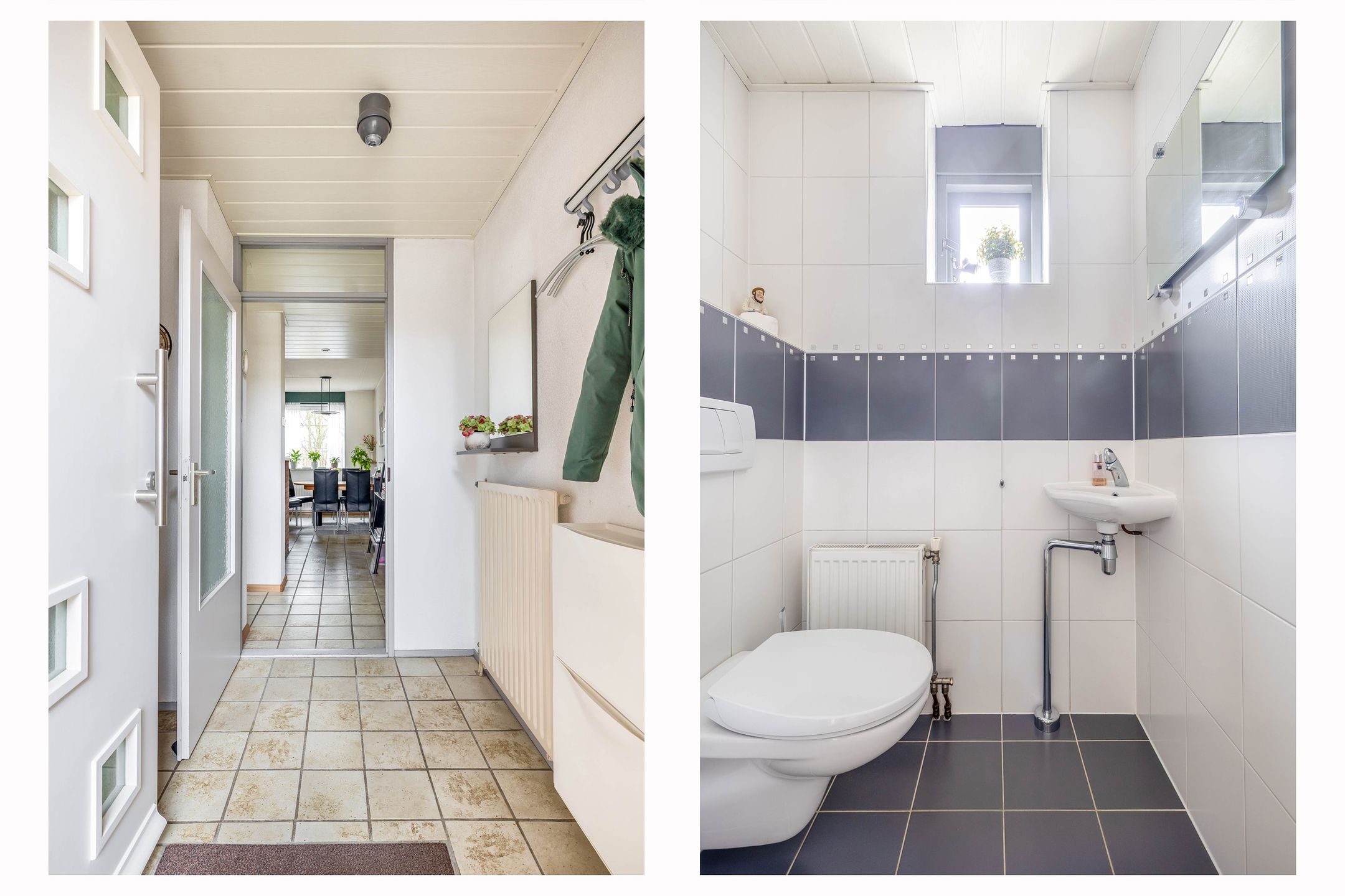 Foto 12 van Tureluur 32