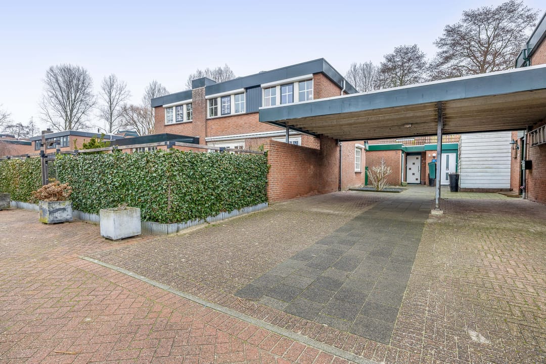 Foto 8 van Tureluur 32