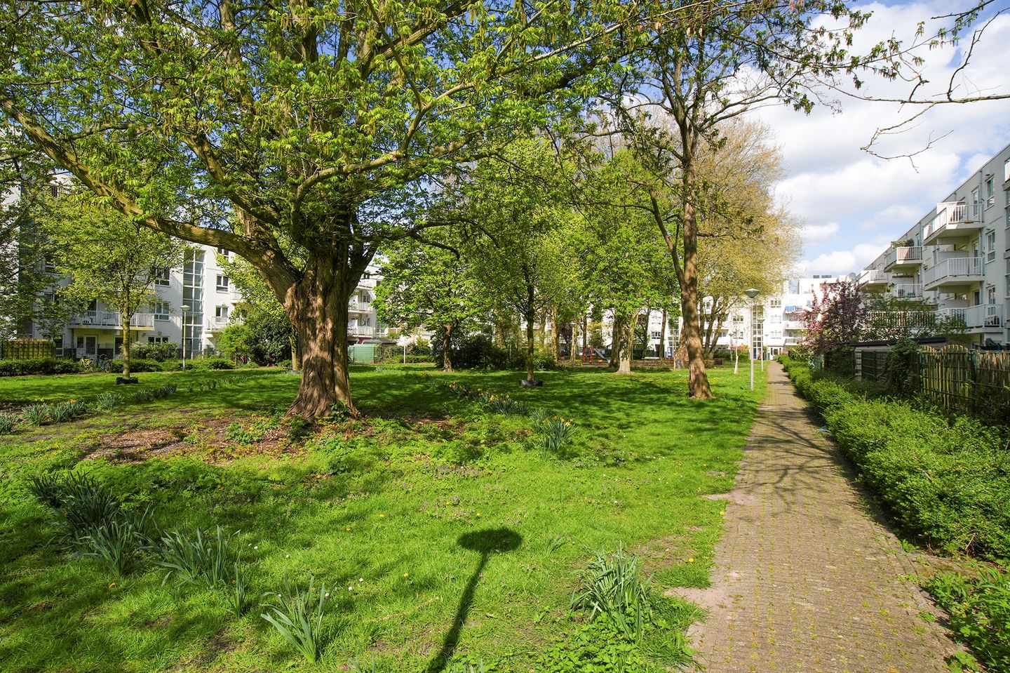 Foto 34 van Dantestraat 156