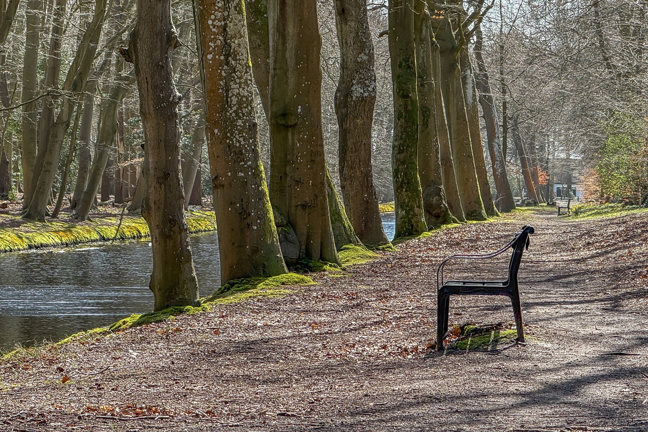 Foto 105 van Kerkelaan 19