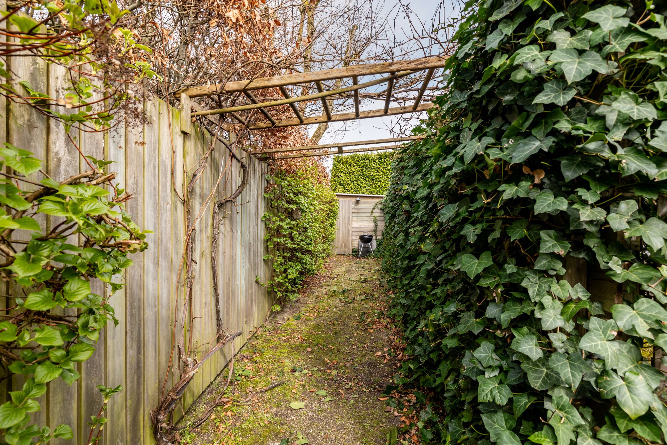 Foto 36 van Kortestraat 20