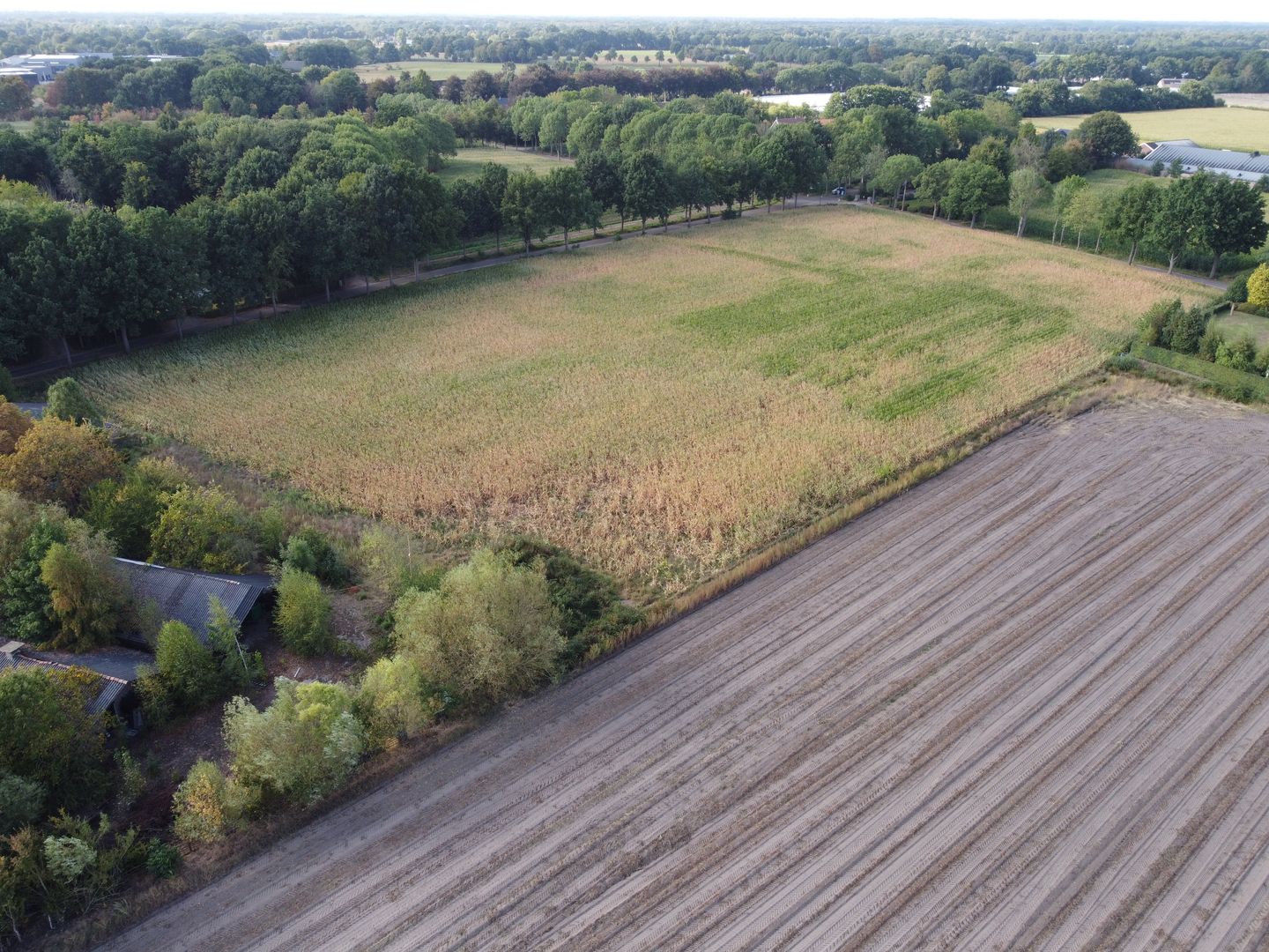 Berg- en Dalseweg 4 - Heeswijk-Dinther - Afbeelding 6