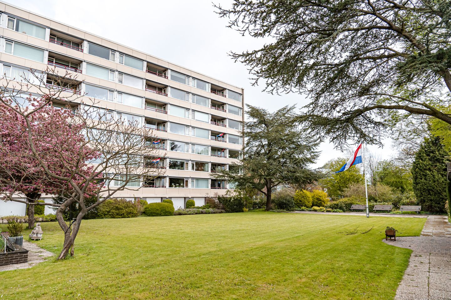 Foto 25 van Zandvoorter Allee 50