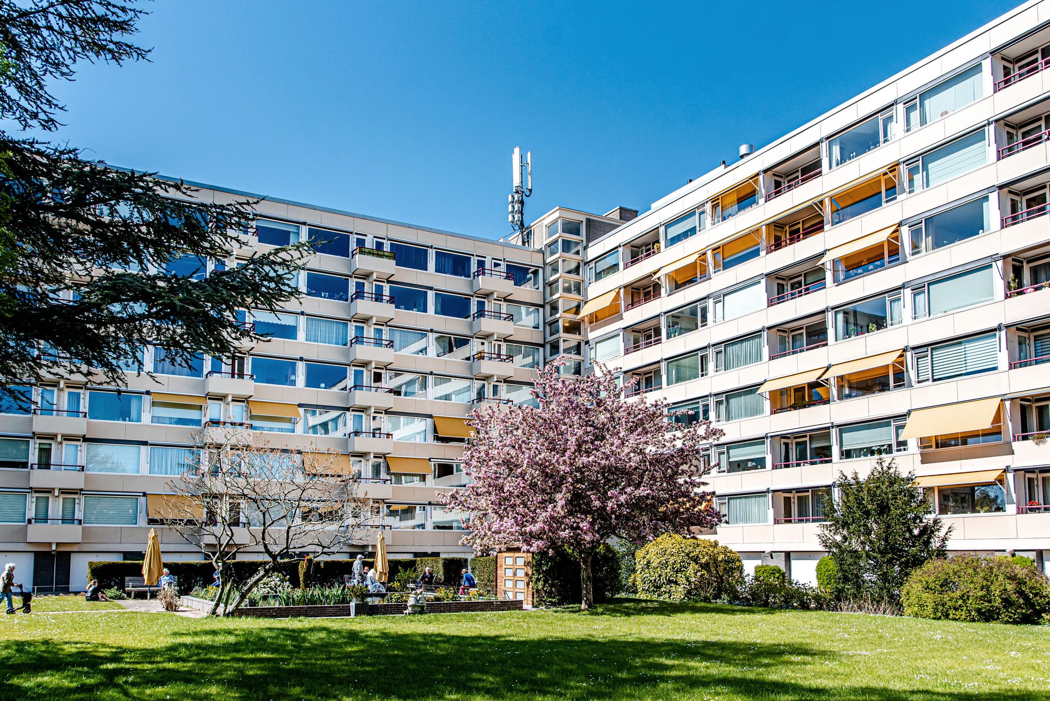 Foto 21 van Zandvoorter Allee 50