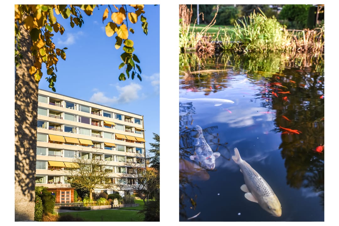 Foto 22 van Zandvoorter Allee 50