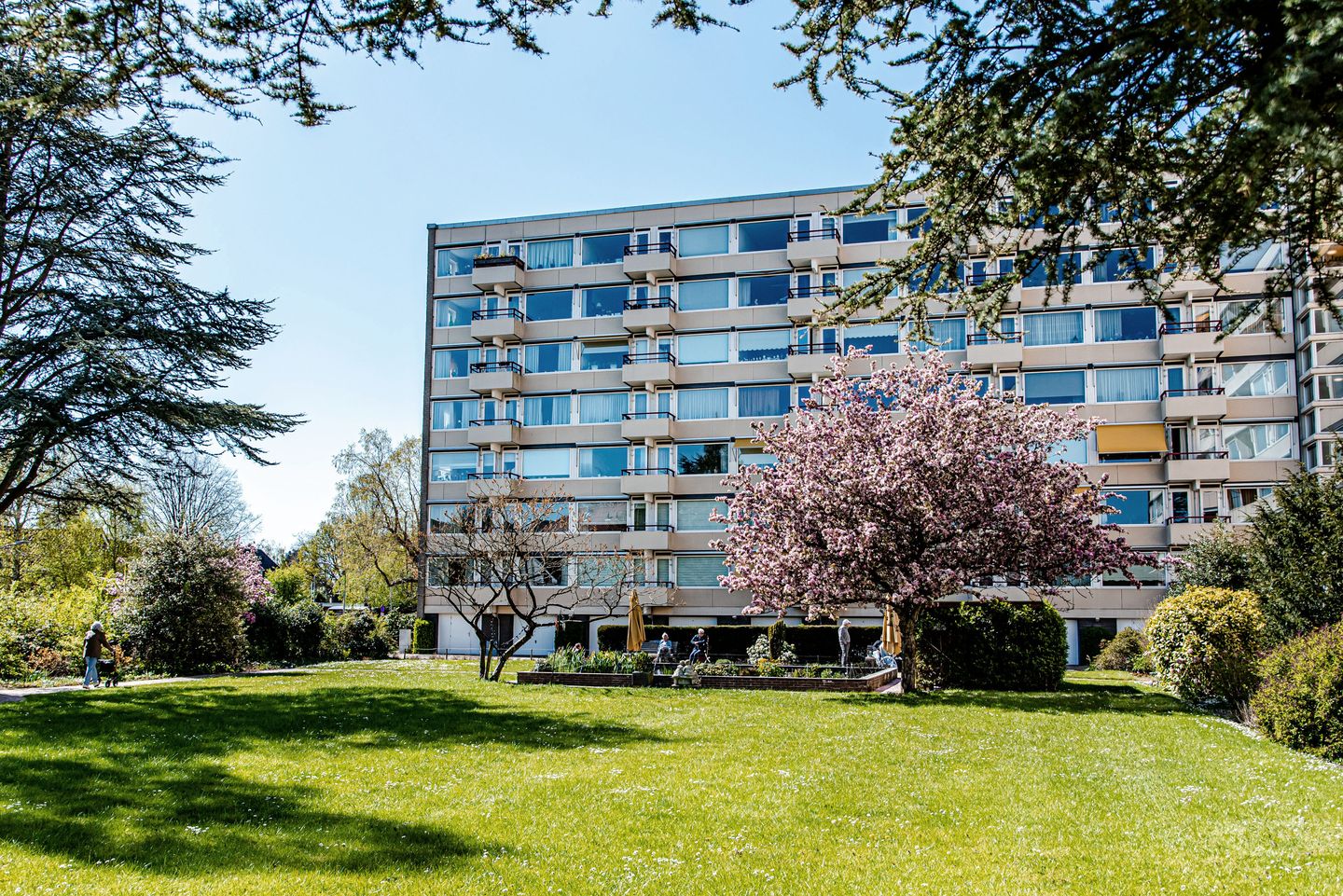 Foto 20 van Zandvoorter Allee 50