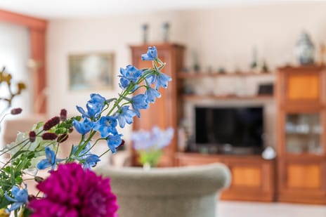 Duizendblad 1 secondary image