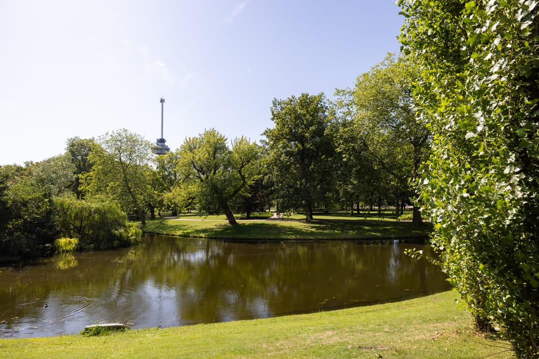 Photo 22 of Calandstraat 10-A01