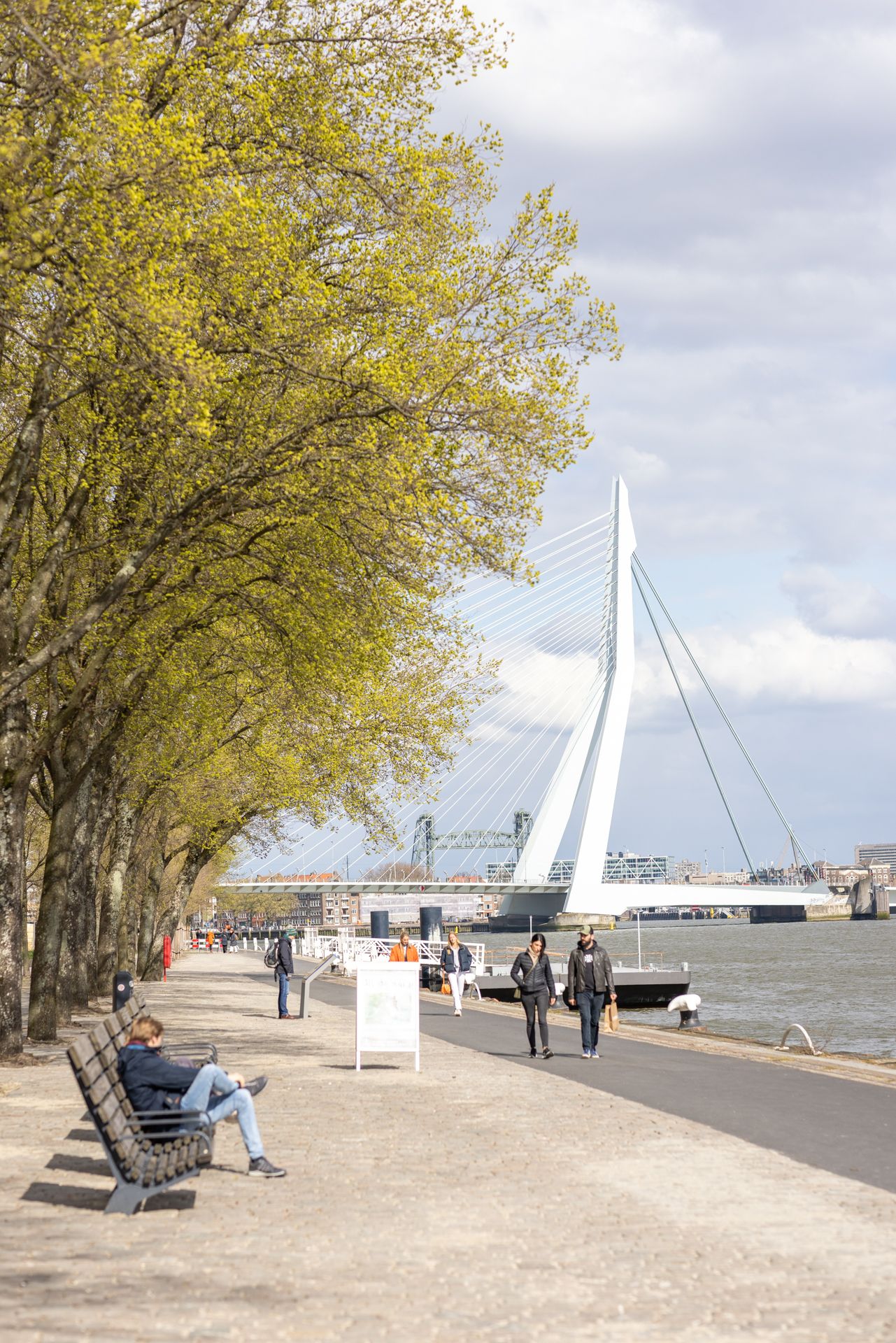 Photo 21 of Calandstraat 10-A01