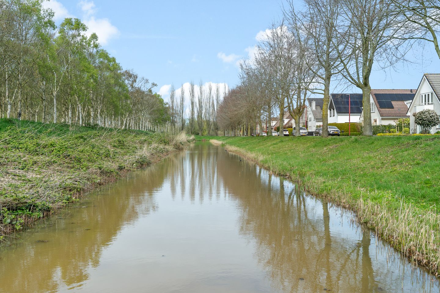 Foto 5 van Lucas van Leydenhage 9