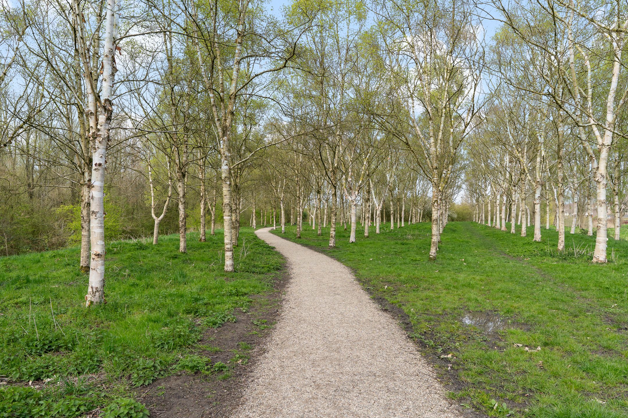 Foto 33 van Lucas van Leydenhage 9