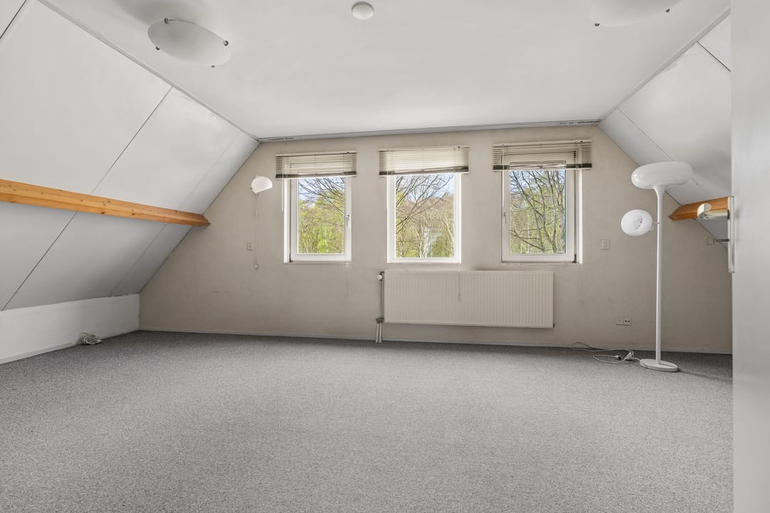 Foto 23 van Lucas van Leydenhage 9