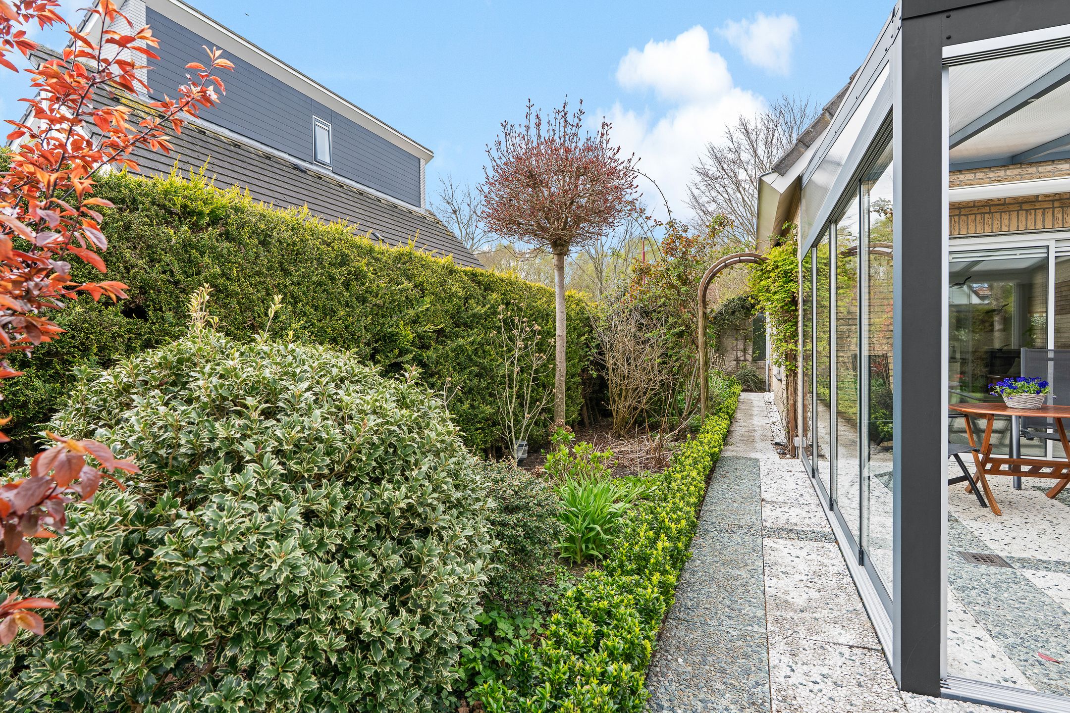 Foto 21 van Lucas van Leydenhage 9