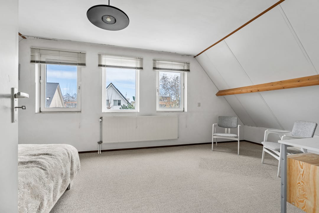 Foto 26 van Lucas van Leydenhage 9