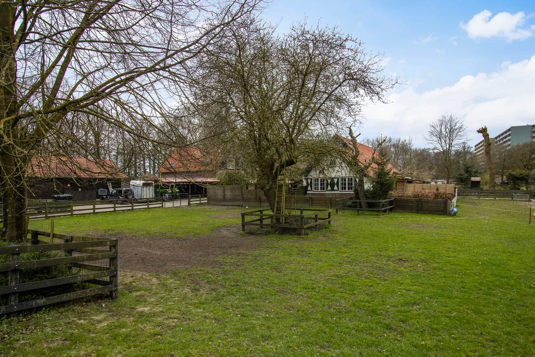 Foto 38 van Schopenhauerstraat 117