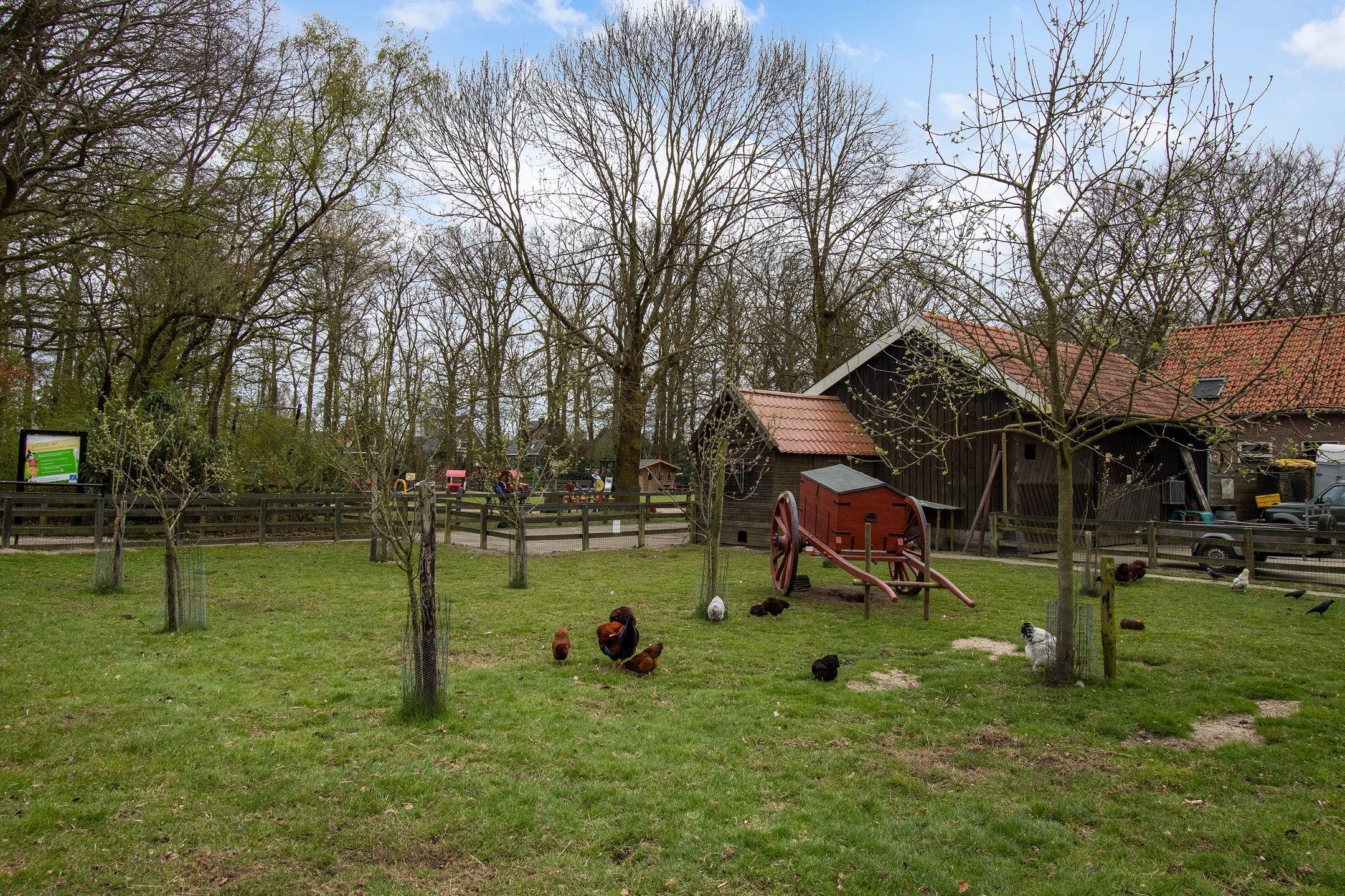 Foto 39 van Schopenhauerstraat 117