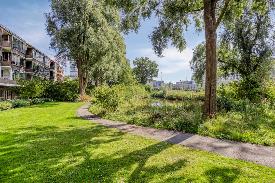 Photo 13 of Meander 129