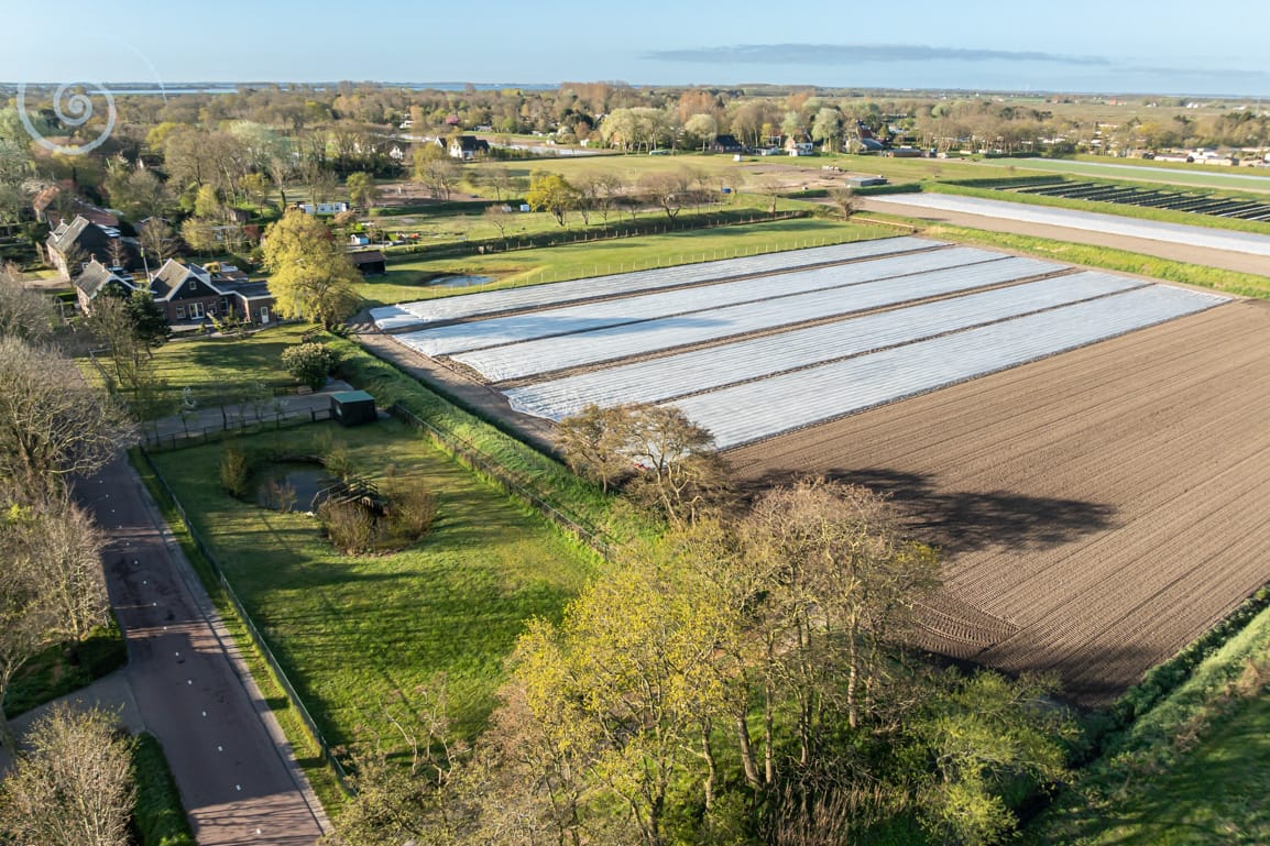 Photo 59 of Westerweg 11