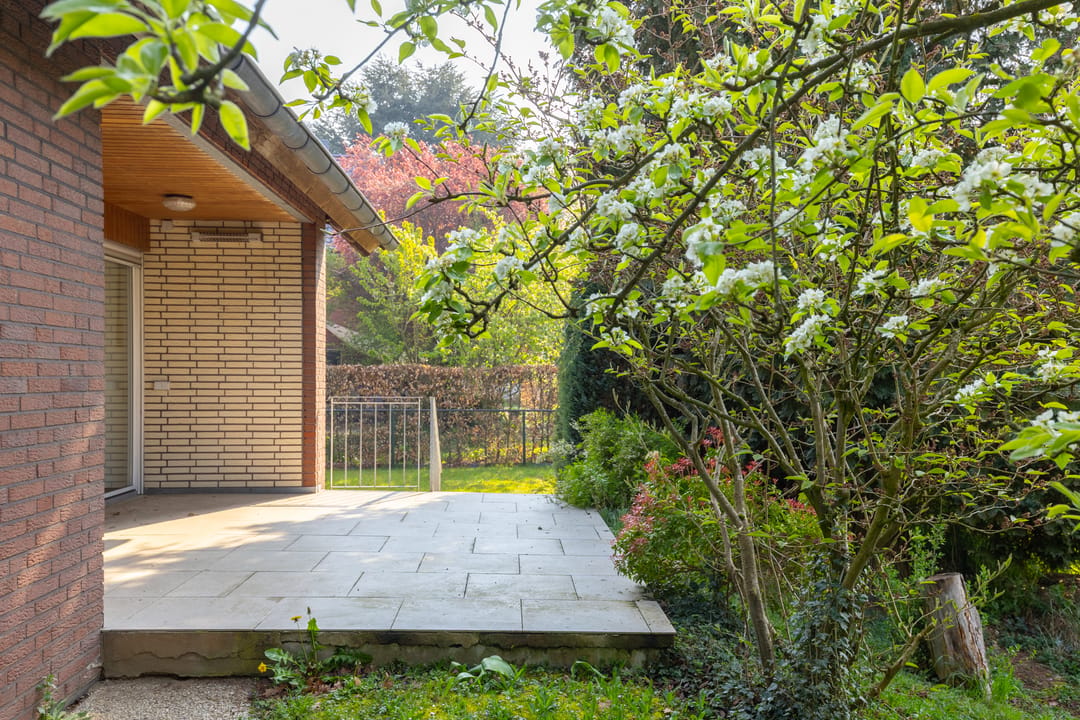Spacious Detached Family Home with Full Basement on Large Plot Near Rhine — 43