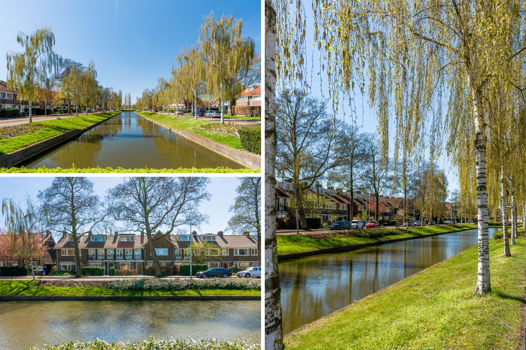 Photo 33 of Graaf Aelbrechtlaan 81