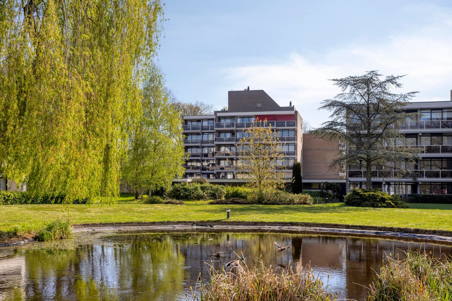 Foto 35 van Frerikshof 120