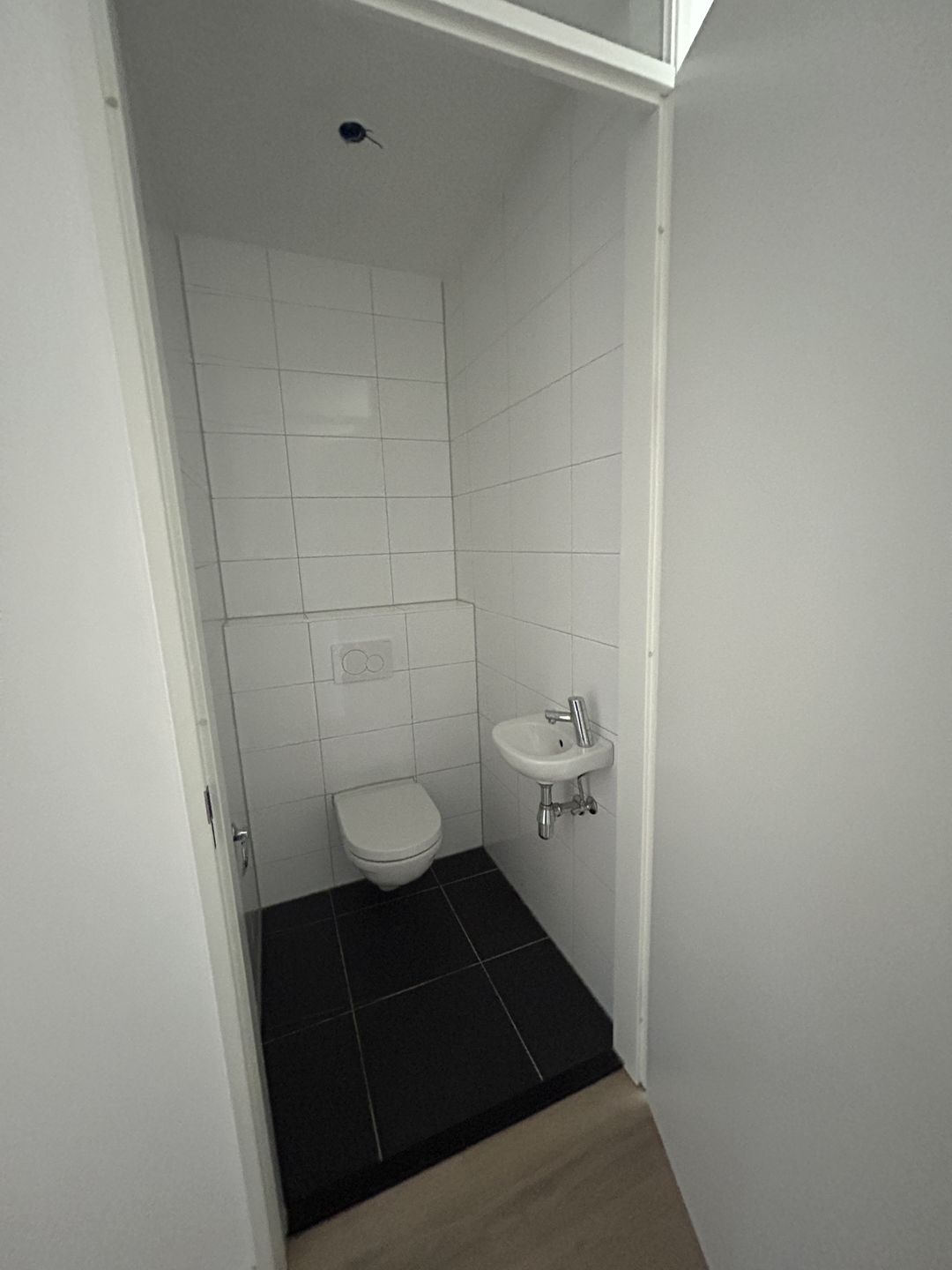 Foto 2 van Meergras 41