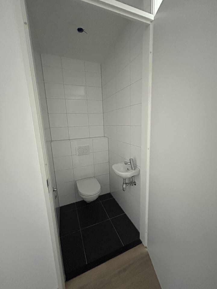 Foto 2 van Meergras 41