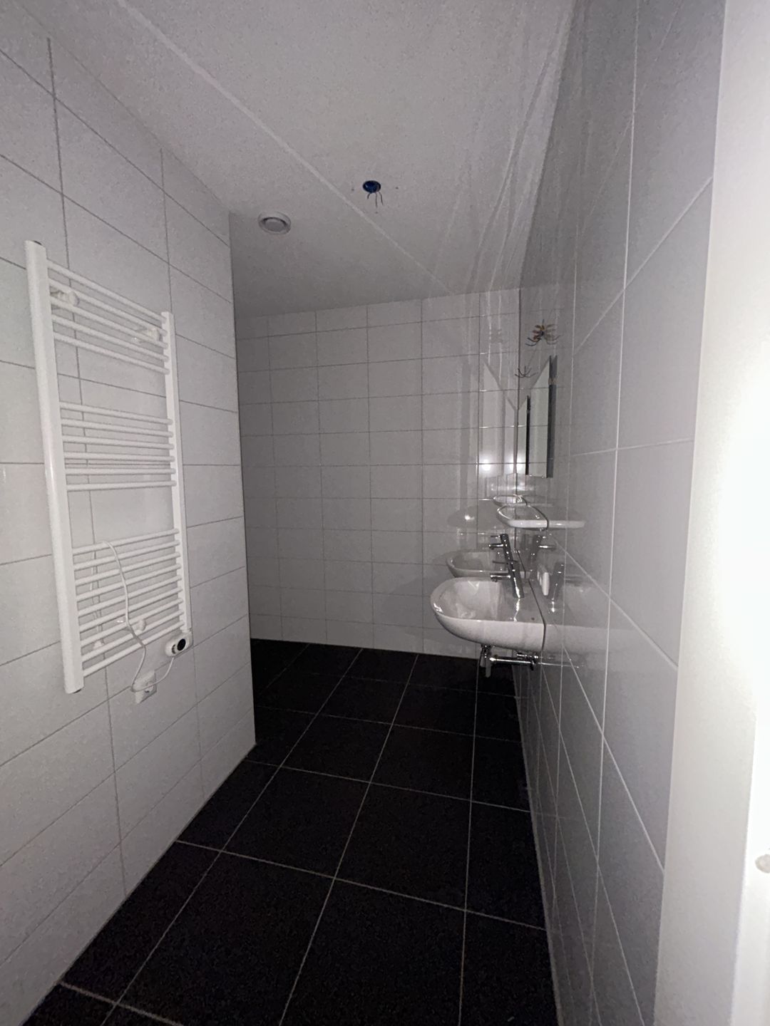 Foto 8 van Meergras 41