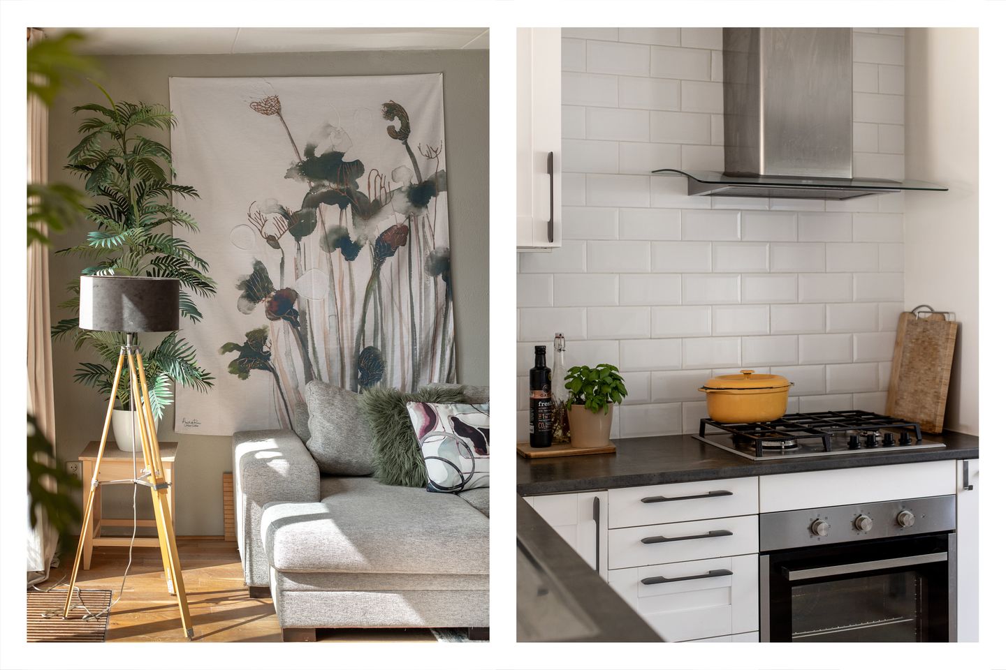 Foto 14 van Seevank 218