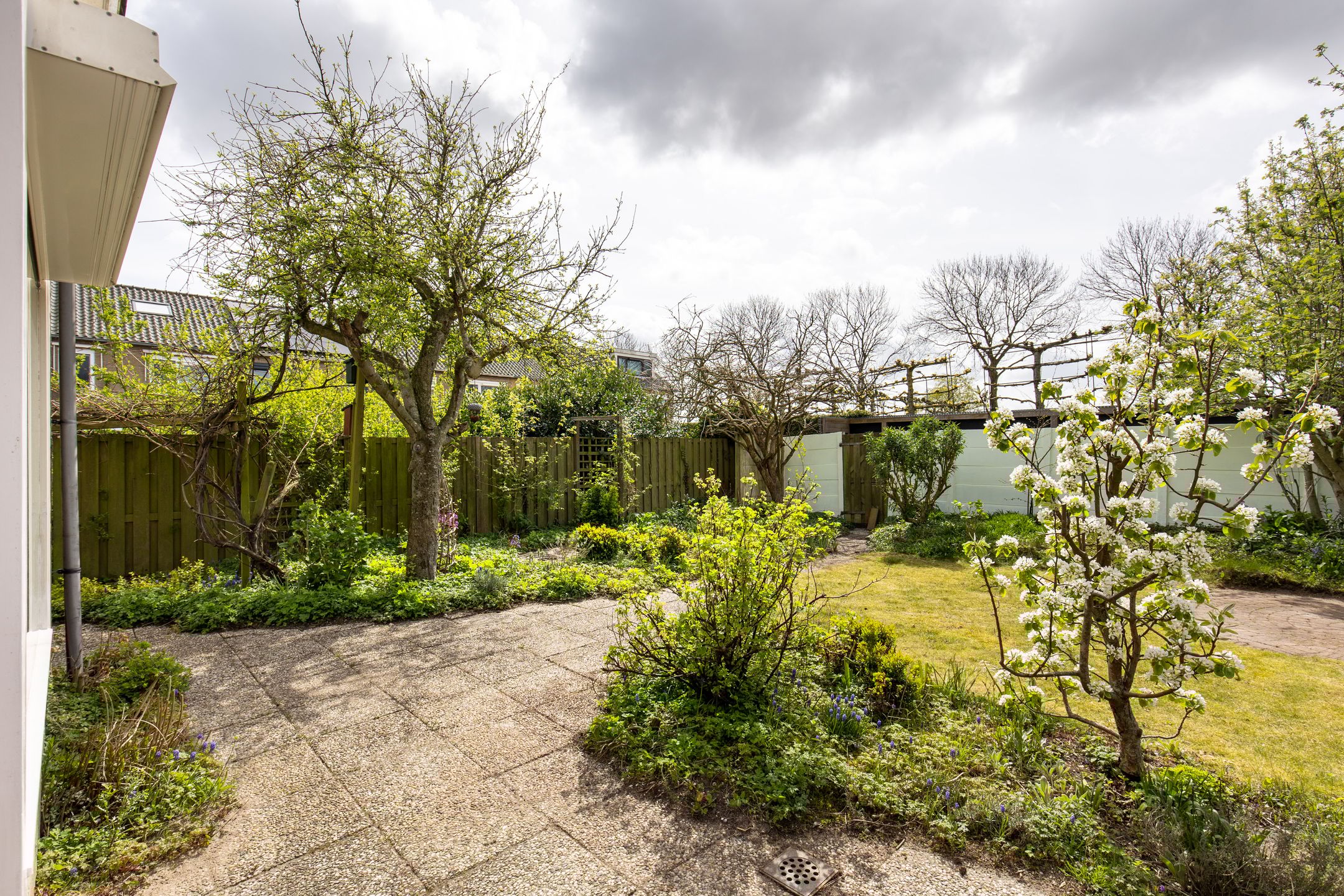 Foto 18 van Seevank 218