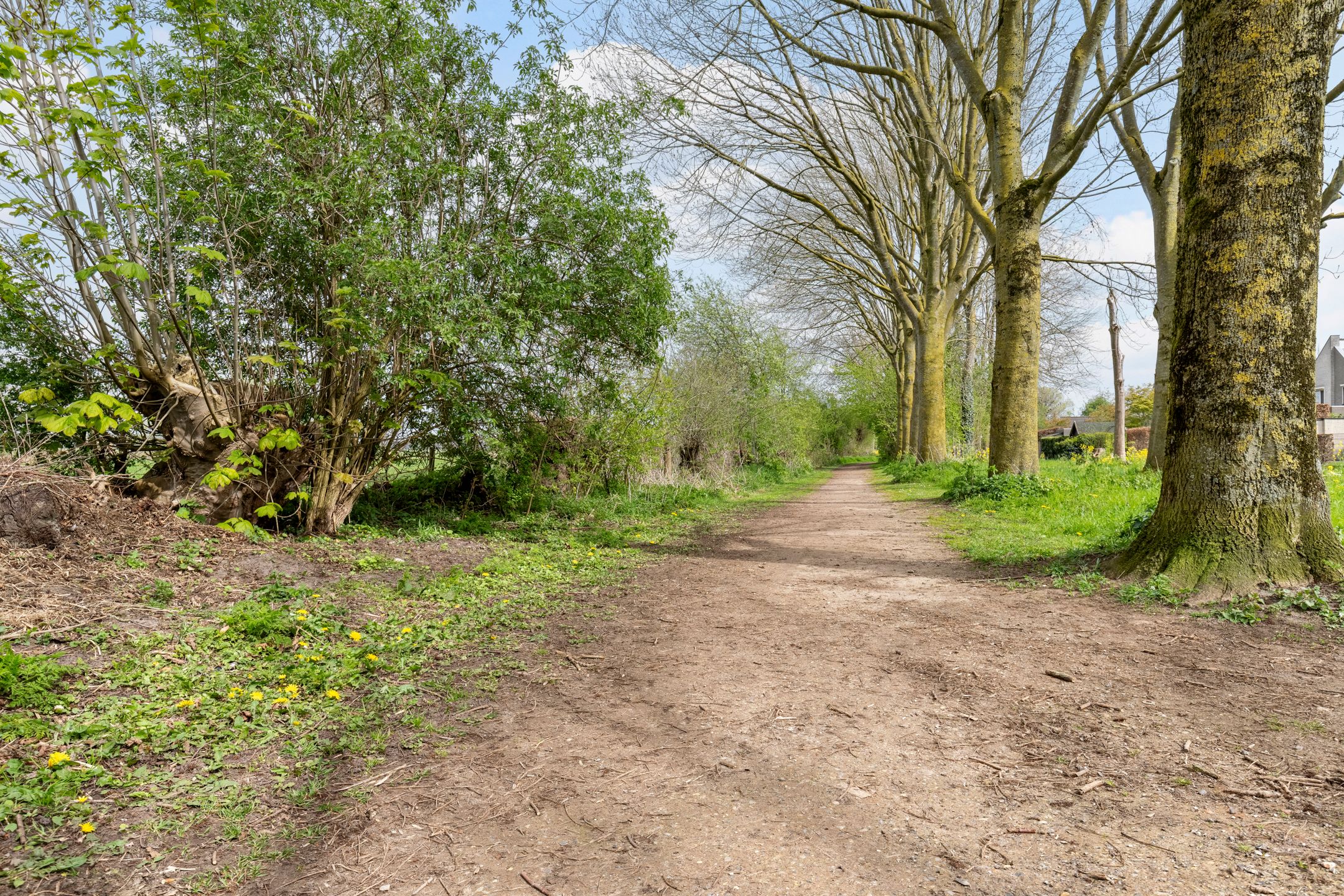 Foto 60 van Lange Veertel 71