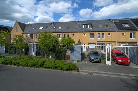 undefined main image