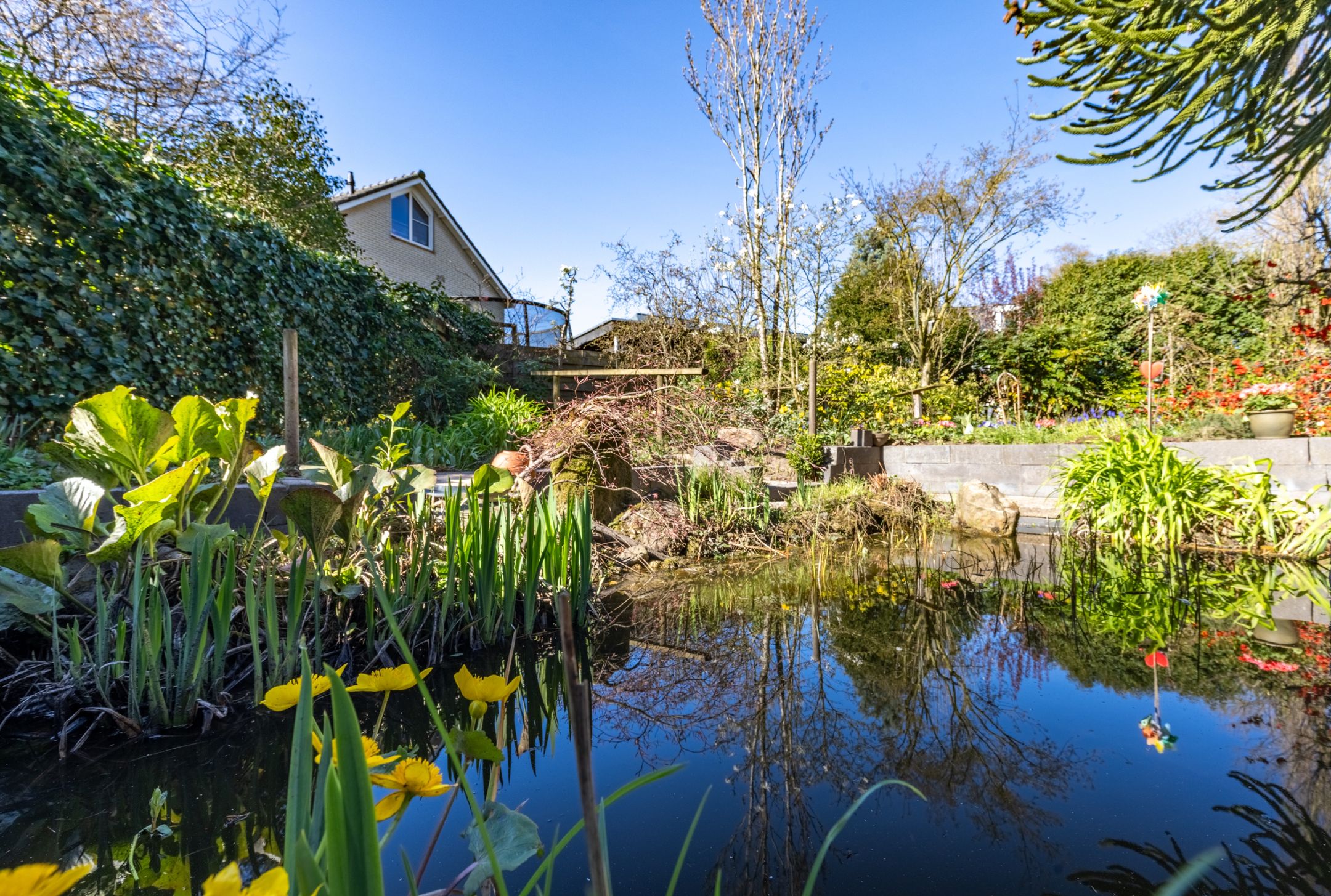 Foto 30 van Looikolkstraat 4