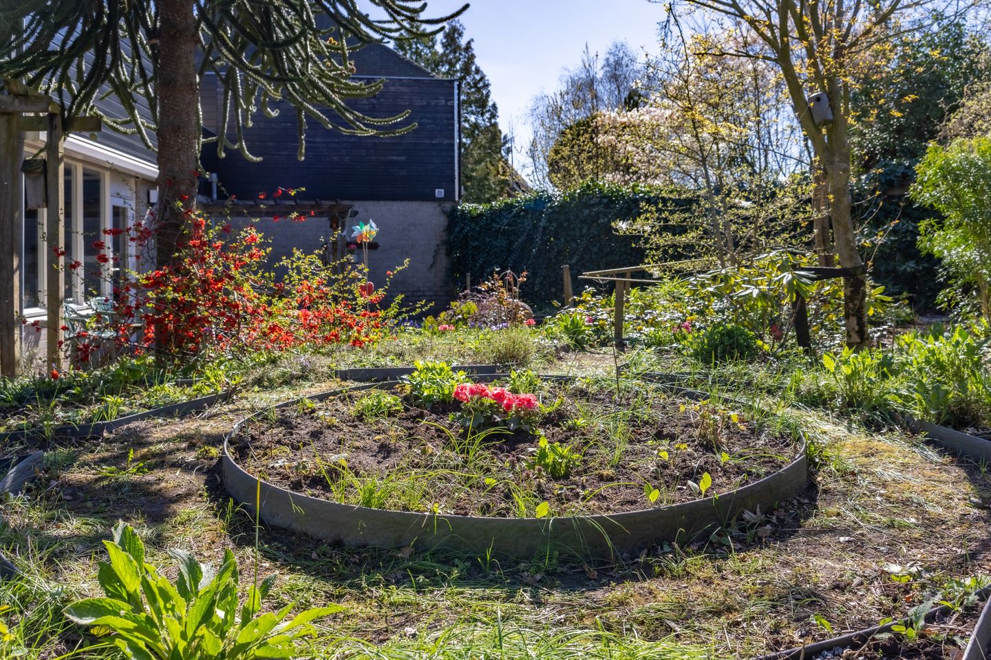 Foto 34 van Looikolkstraat 4